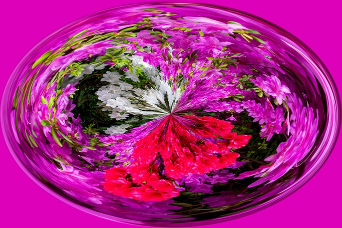 Design 06