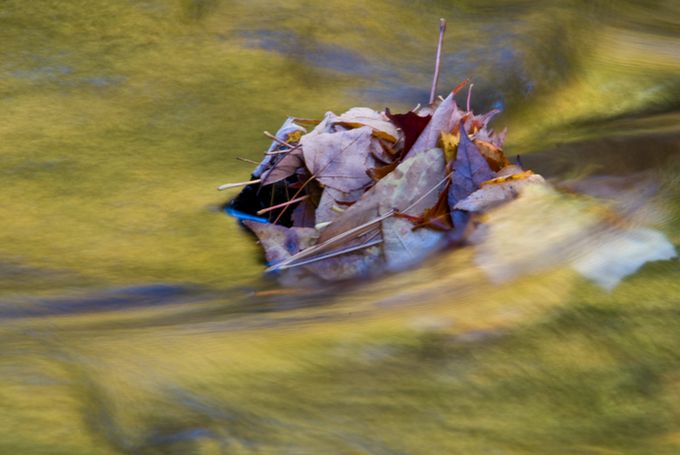 Down the River