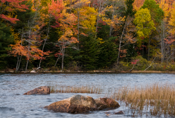 Eagle pond