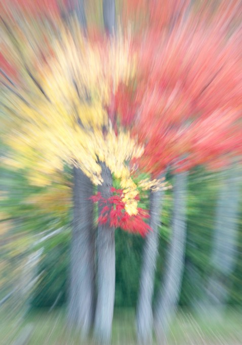 Fall abstract