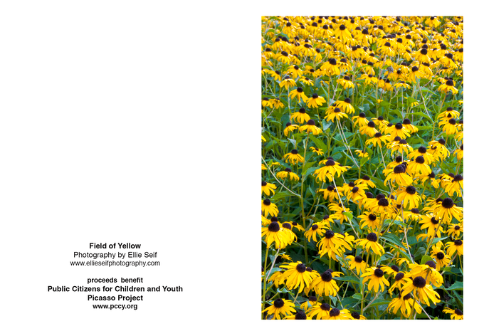 Field of Yellow 2