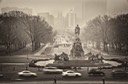 From the Philadelphia Art Museum Steps