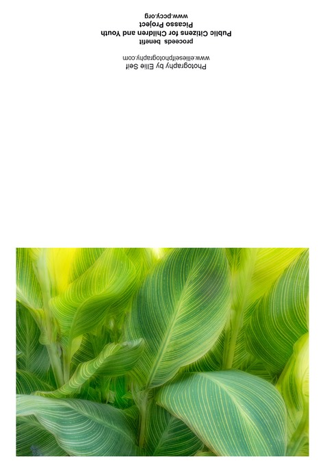 green leaves