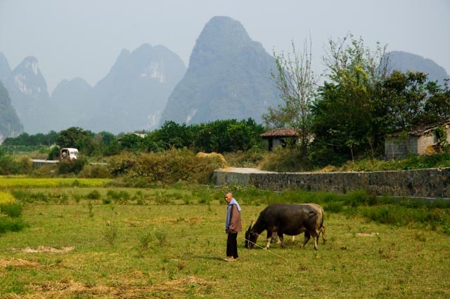 Guilin 91