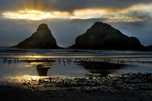 Oregon coast sunset