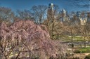 Philadelphia
