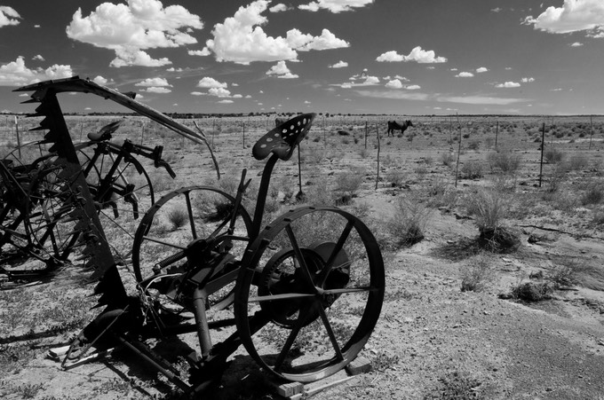 Rock Art Ranch, AZ