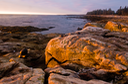 Sunrise over Acadia