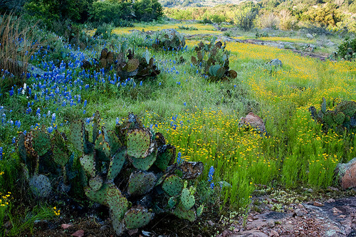 Texas Hill country 2