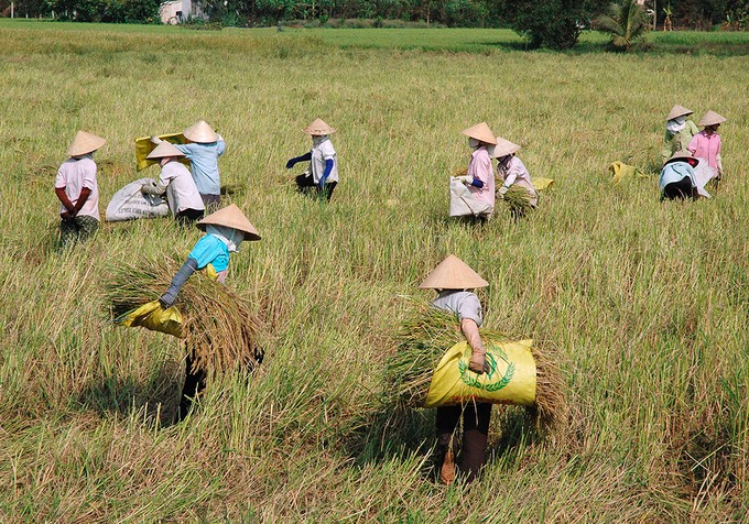 women in the field